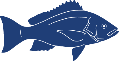 Detailed Fish Icons_FINAL Red Snapper.png