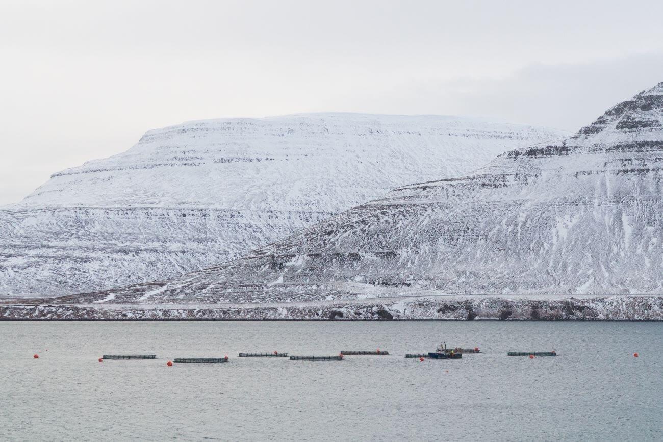 isafjordur_iceland_aquaculture_farm_outside_isafjordur_westfjords_salmon_trout_farming_biomar (1)