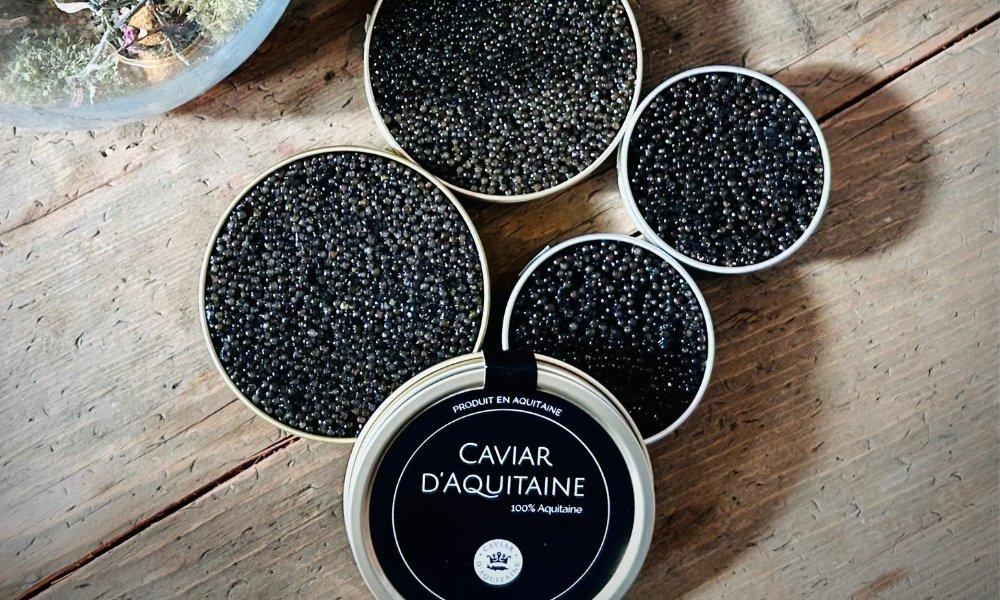 Caviar_sturgeon_Caviar-Aquitaine