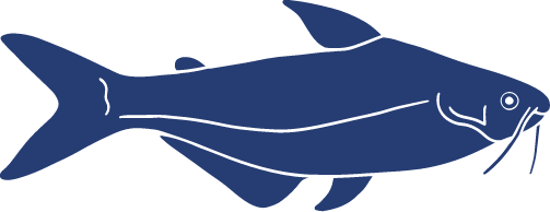Icon-Fish-Striped Catfish (2).png