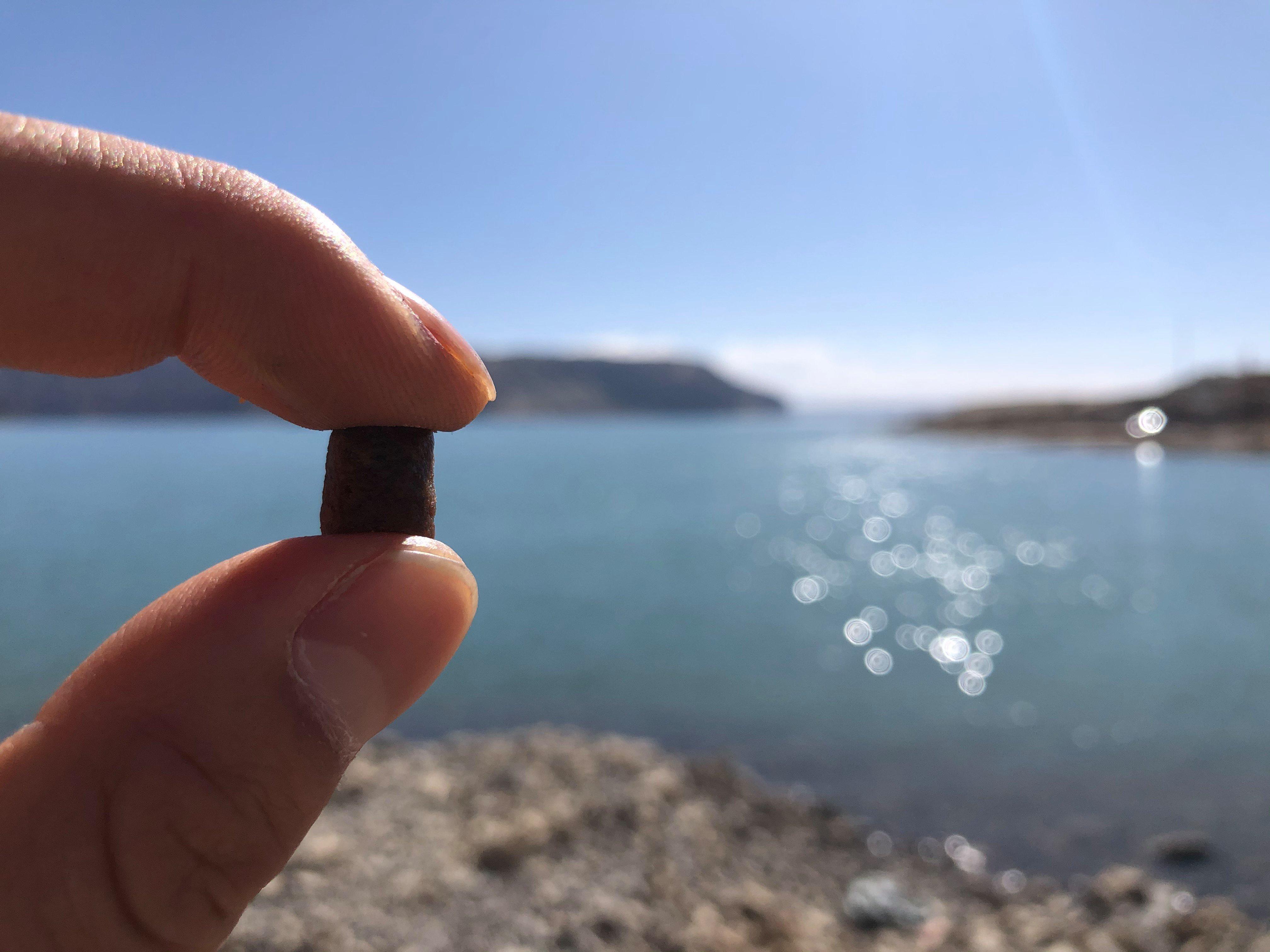 BioMar_Feed_Pellet_Fingers_China