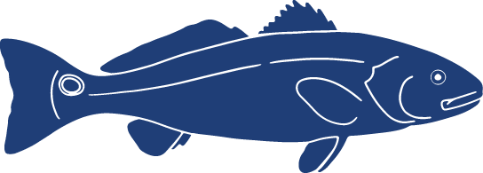 Detailed Fish Icons_FINAL Red Drum.png