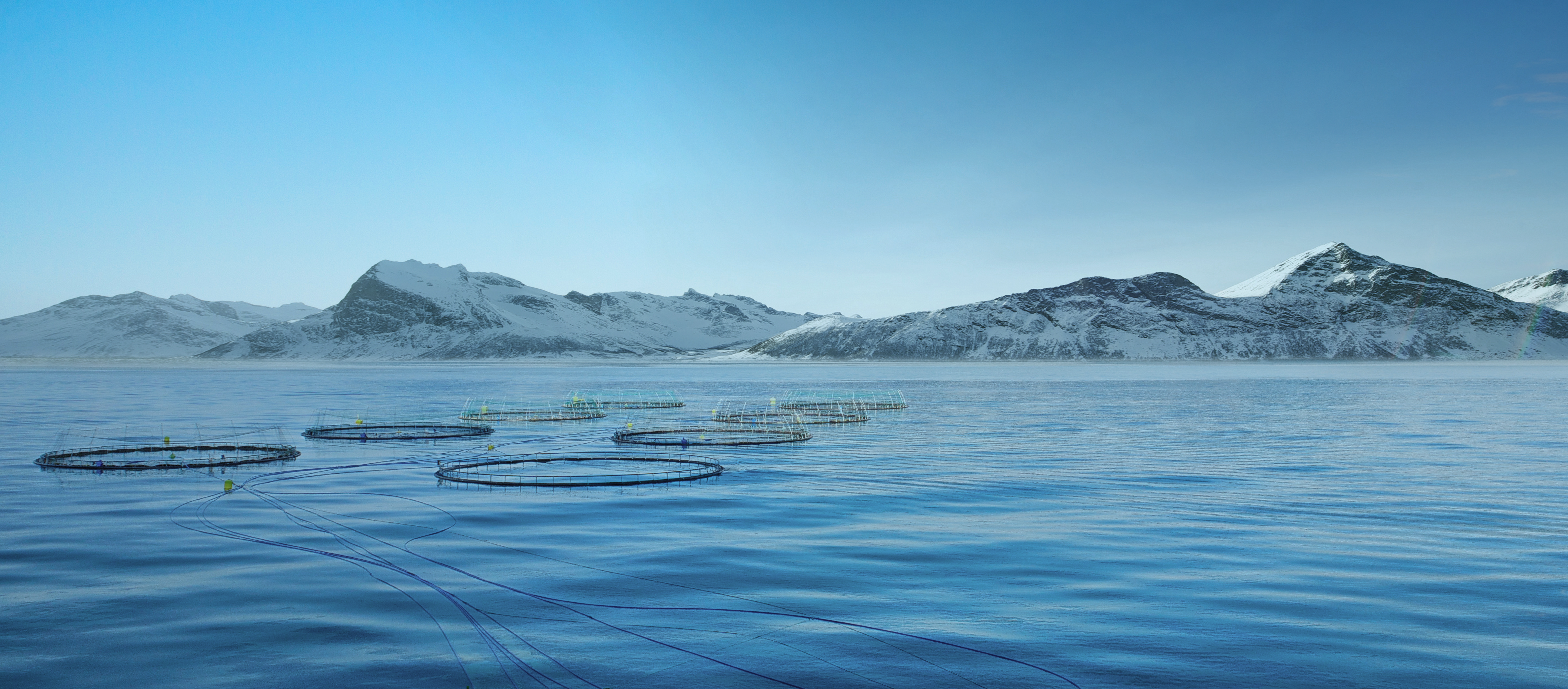 TotalCare shutterstock 1437353615