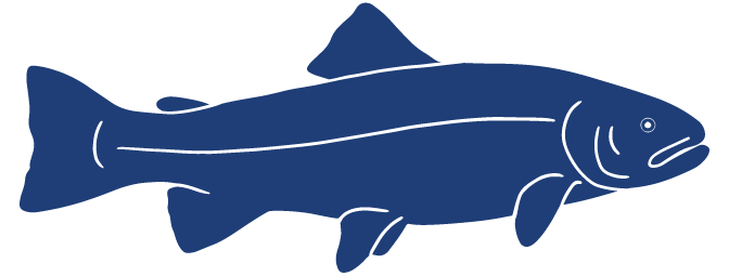 Detailed Fish Icons_FINAL Trout.png