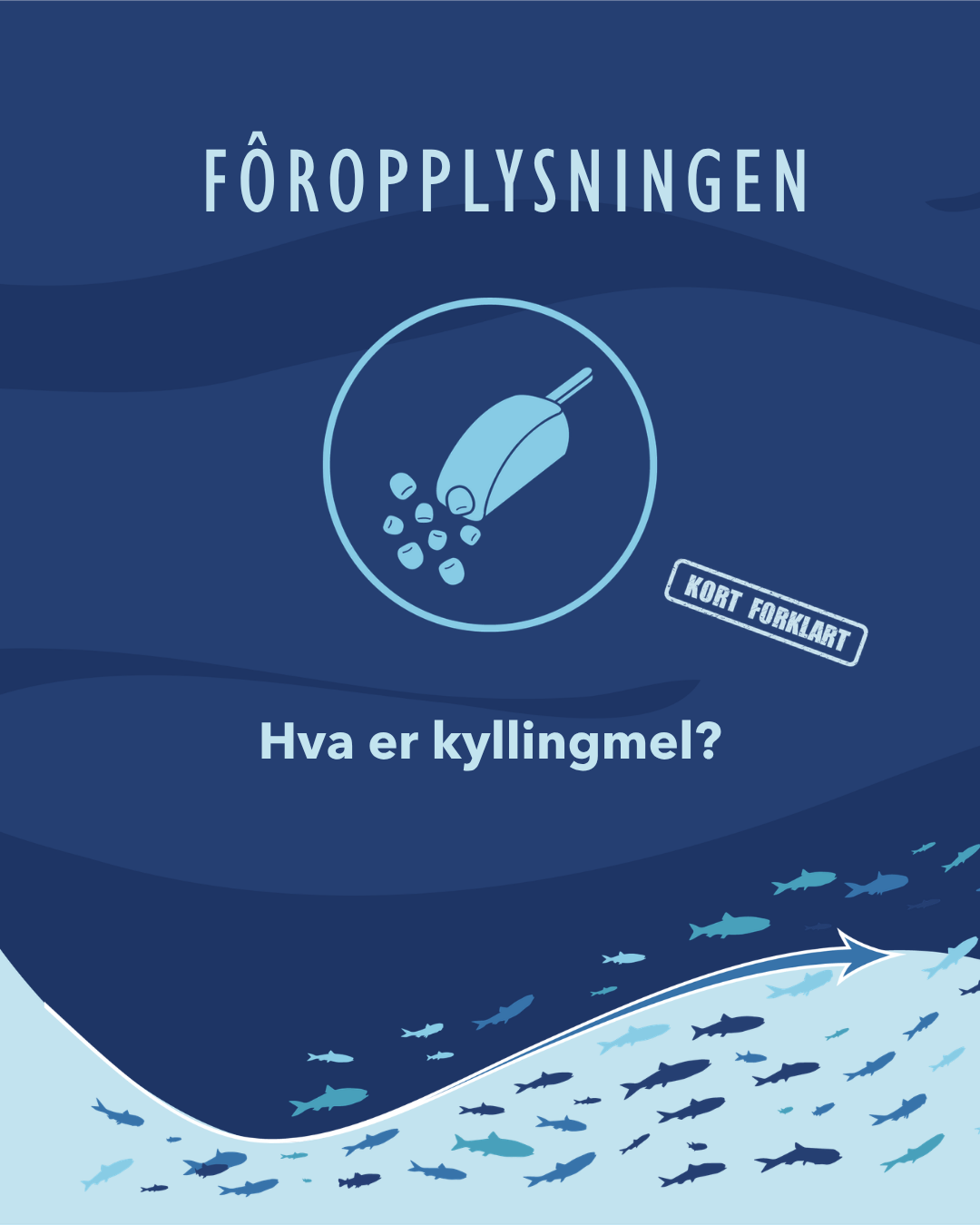 6.1 - Hva er kyllingmel.png (1)