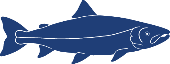 Detailed Fish Icons FINAL Arctic Char