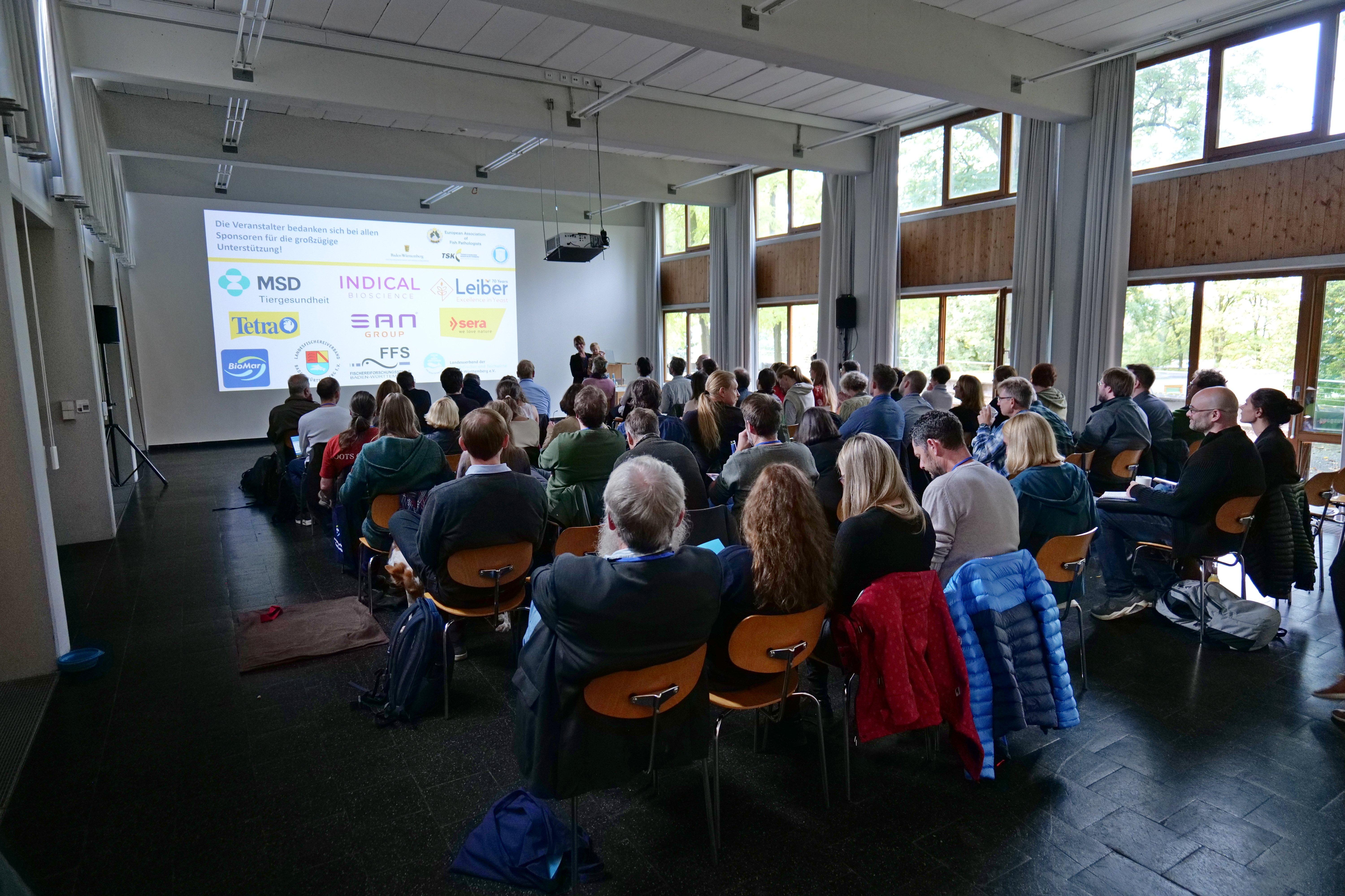 Publikum plus Sponsorenfolie