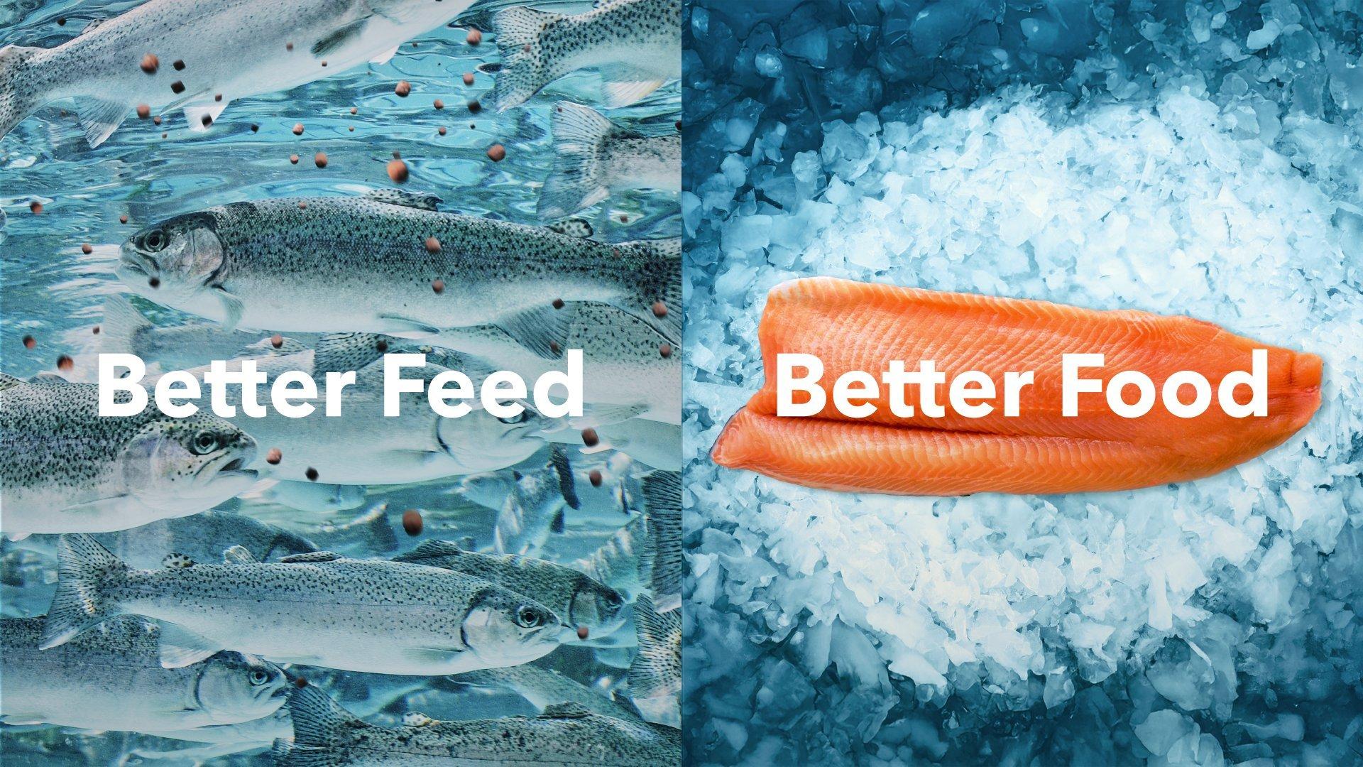 2024-10 Better Feed Better Food-SoMe_Trout-1 (2)