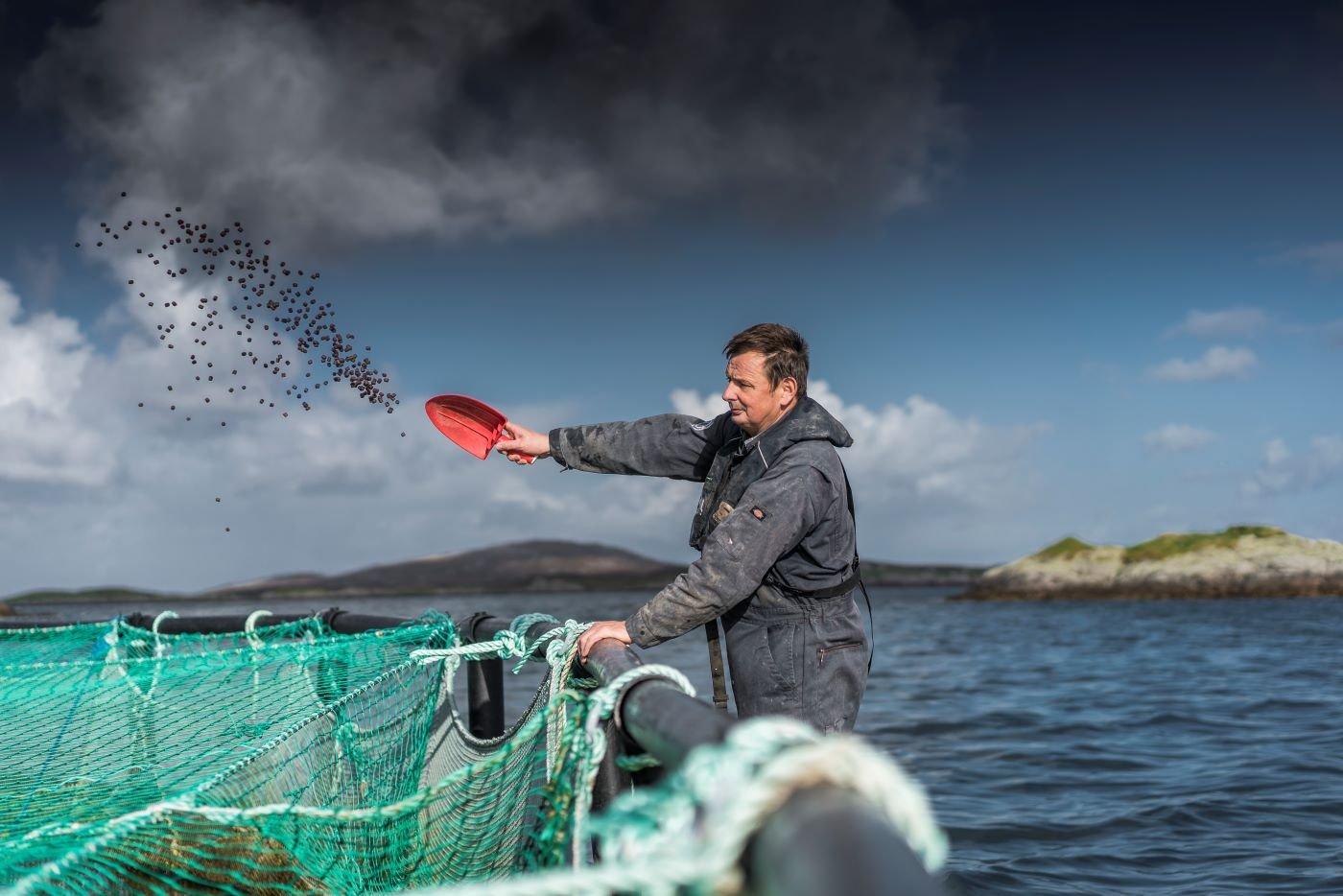 loch duart and biomar throwing feed