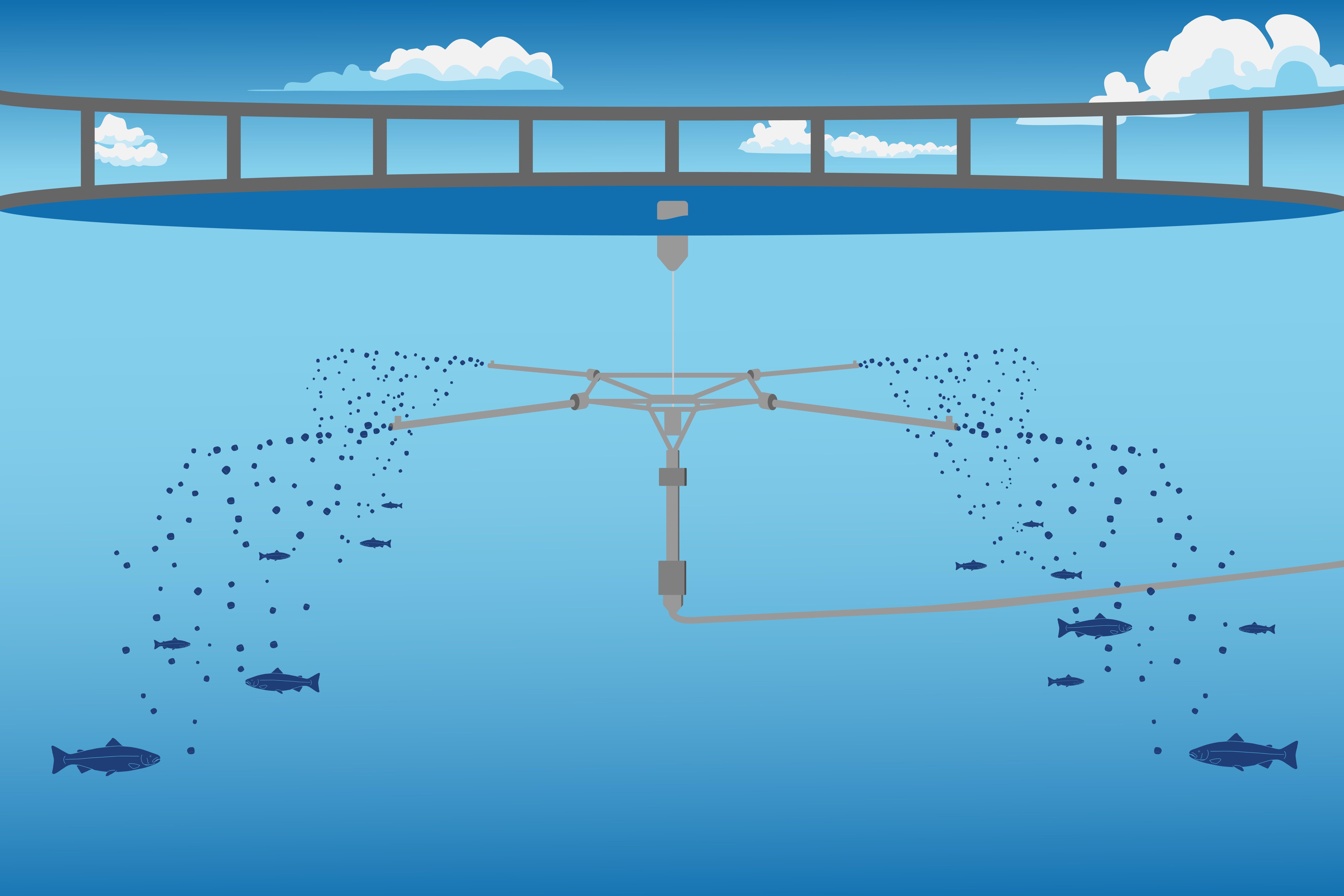 2025-01 Waterborne Illustration