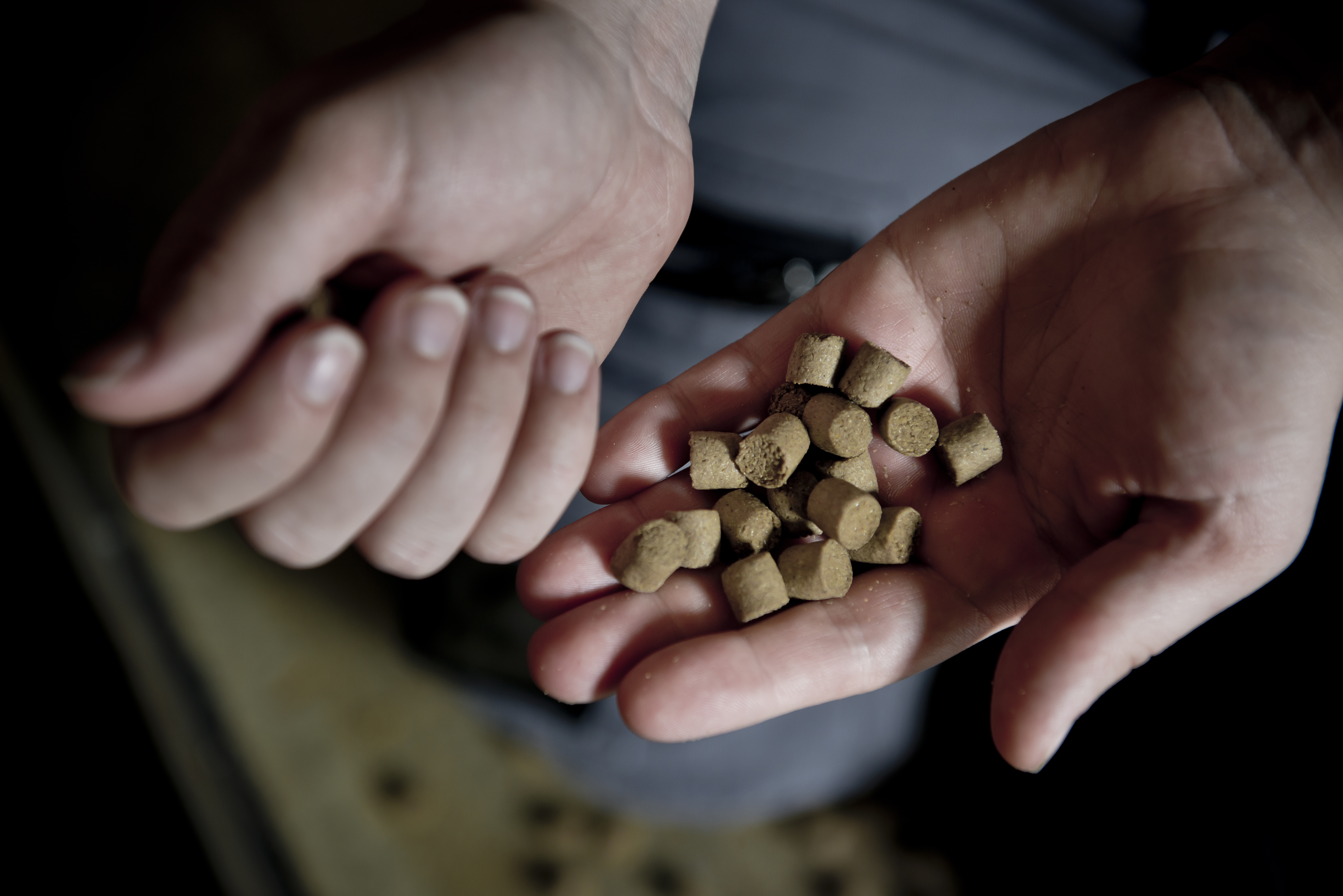 BioMar Julie Bringedal