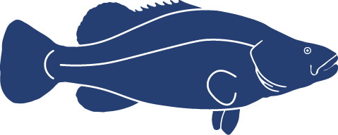 Detailed-Fish-Icons_FINALMurray Cod.png