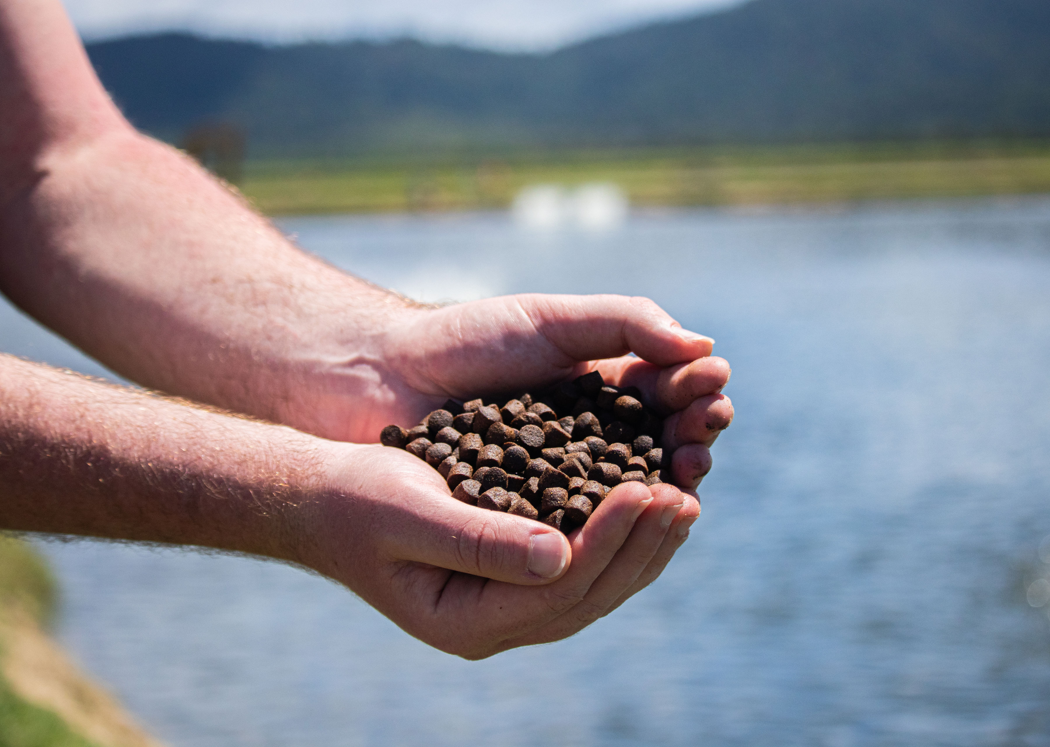 Feed-Pellet-Hands-Farm-Australia-Barramundi-PS_AUS_022024-118.jpg